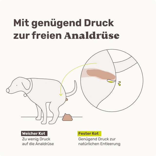Mammaly Easy Squeezy Analdrüsen-Snacks Nahrungsergänzungsmittel für Hunde