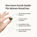 Mammaly Fresh Smile Zahnpflege-Snacks Nahrungsergänzungsmittel für Hunde