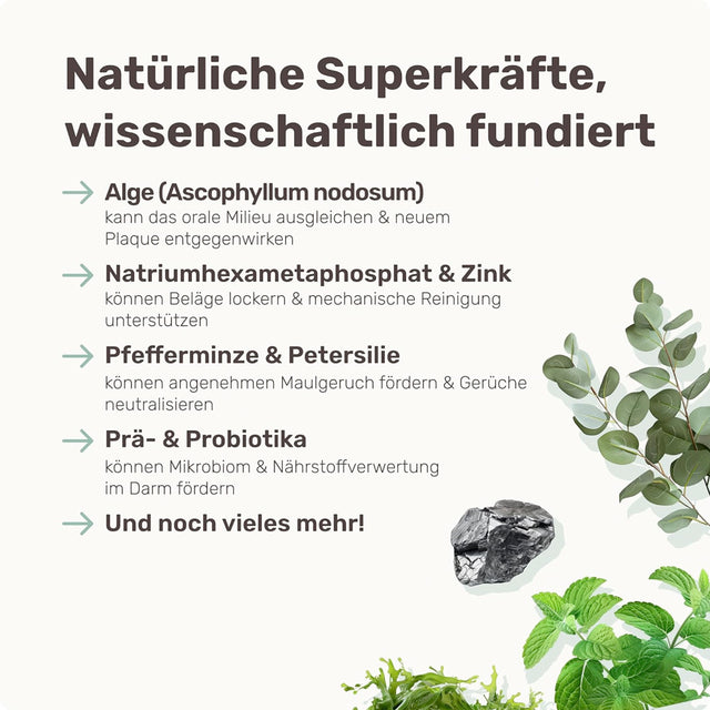 Mammaly Fresh Smile Zahnpflege-Snacks Nahrungsergänzungsmittel für Hunde