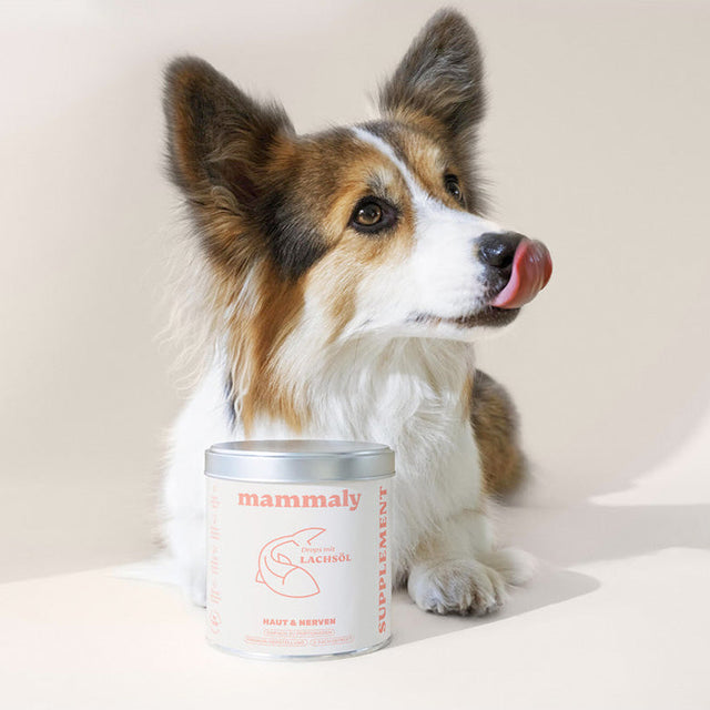 Mammaly Lachsöl Vitalstoff-Drops Nahrungsergänzungsmittel für Hunde