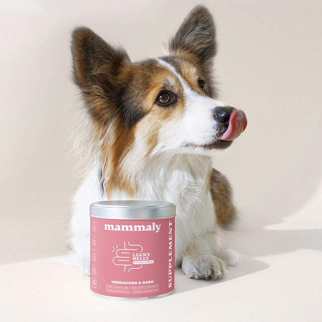 Mammaly Lucky Belly Hypoallergen Verdauungs-Snacks Nahrungsergänzungsmittel für Hunde