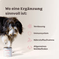 Mammaly Präbiotika Vitalstoff-Drops Nahrungsergänzungsmittel für Hunde