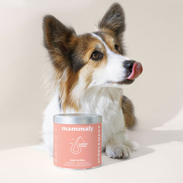 Mammaly Shiny Hair Fellpflege-Snacks Nahrungsergänzungsmittel für Hunde