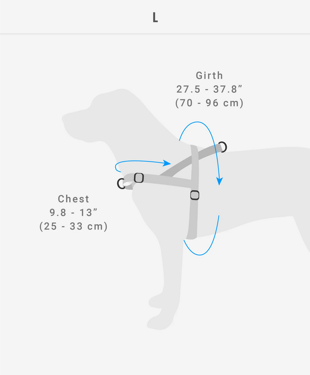 Hundegeschirr | Softer Walk Harness, Nox