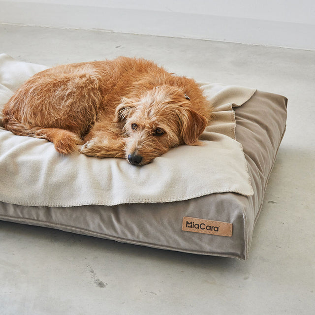 MiaCara Fleecedecke Unica, Greige Hundedecke