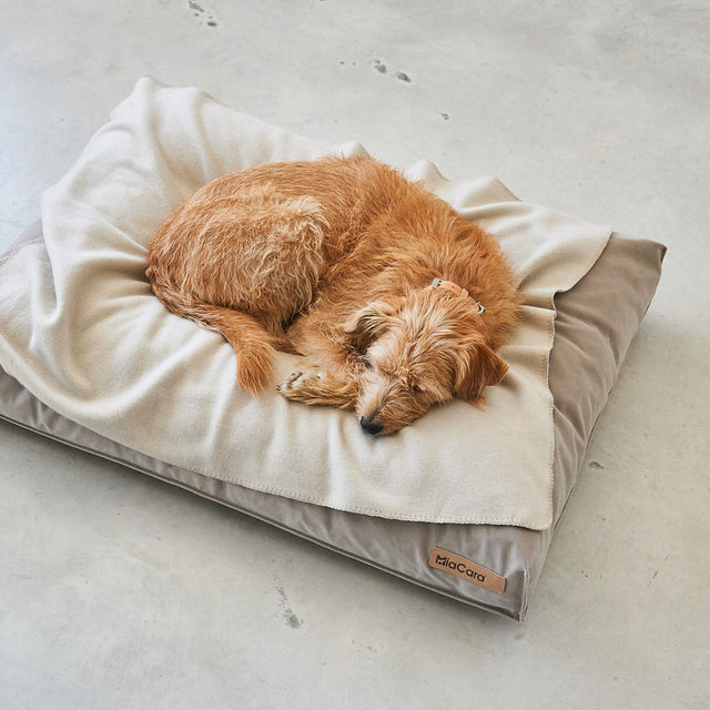 MiaCara Fleecedecke Unica, Greige Hundedecke