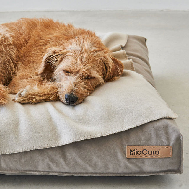 MiaCara Fleecedecke Unica, Greige Hundedecke