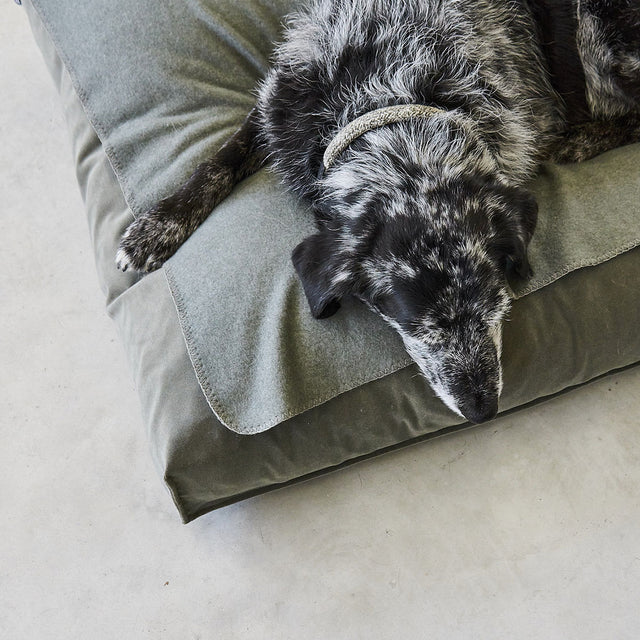 MiaCara Fleecedecke Unica, Kiesel Hundedecke