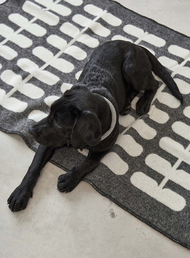 MiaCara Hundedecke Flora, Anthrazit/Natur Hundedecke