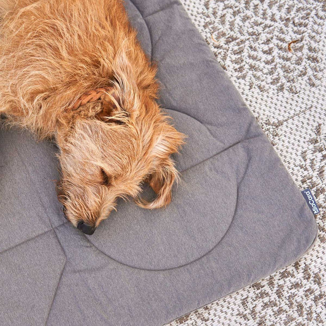 MiaCara Steppdecke Linea, Mocca Hundedecke