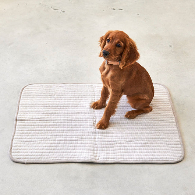 MiaCara Steppdecke Onda, Greige Hundedecke