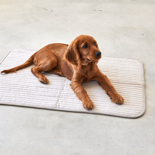 MiaCara Steppdecke Onda, Greige Hundedecke