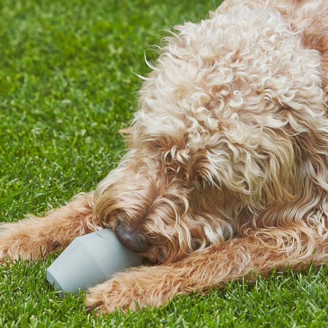 MiaCara Beschäftigungsspielzeug Cono, Sage Interaktiv