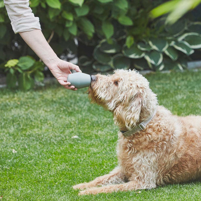 Beschäftigungsspielzeug Cono, Sage