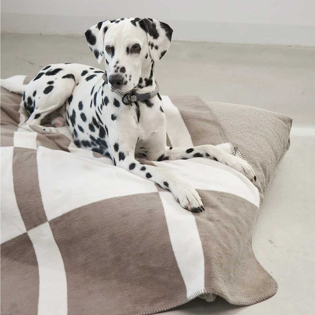 MiaCara Hundedecke Blocco, Taupe Hundedecke