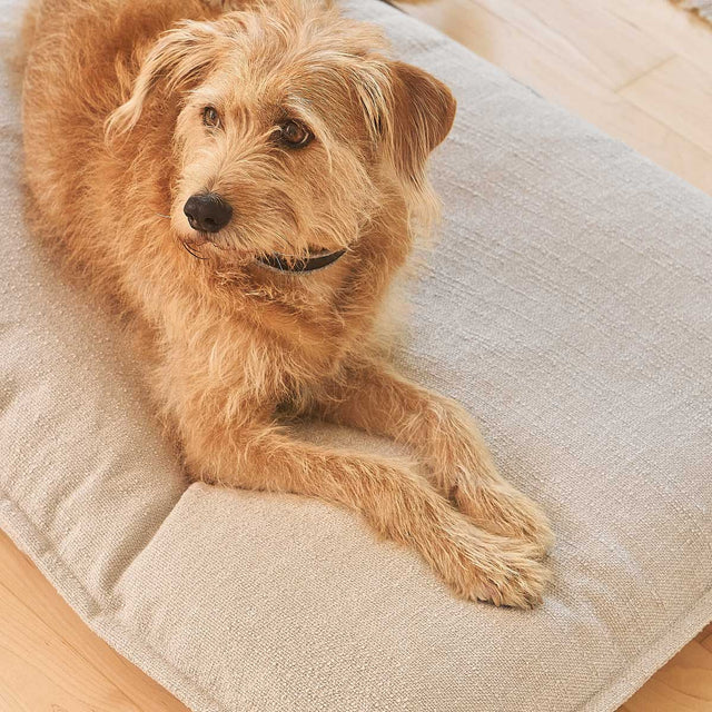 MiaCara Hundekissen Campo, Greige Hundekissen