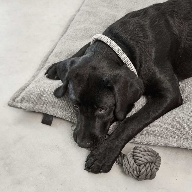 MiaCara Hundekissen Campo, Greige Hundekissen