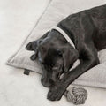 MiaCara Hundekissen Campo, Kiesel Hundekissen