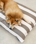 MiaCara Hundekissen Giardino, Off-White/Taupe Hundekissen