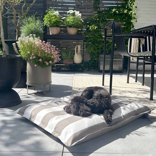 MiaCara Hundekissen Giardino, Off-White/Taupe Hundekissen