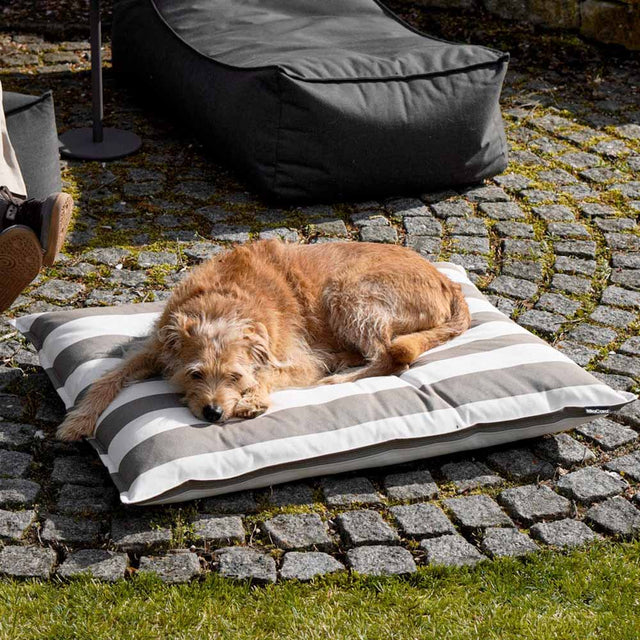 MiaCara Hundekissen Giardino, Off-White/Kiesel Hundekissen