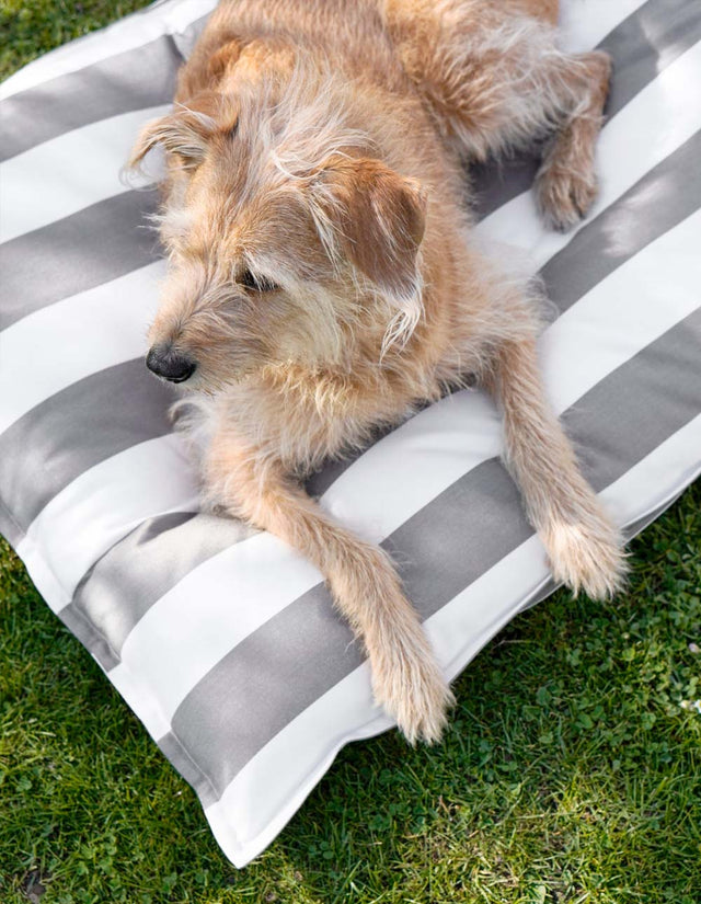 MiaCara Hundekissen Giardino, Off-White/Kiesel Hundekissen
