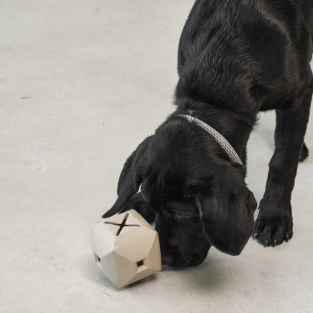 MiaCara Beschäftigungsspielzeug Dado, Eucalyptus Interaktiv