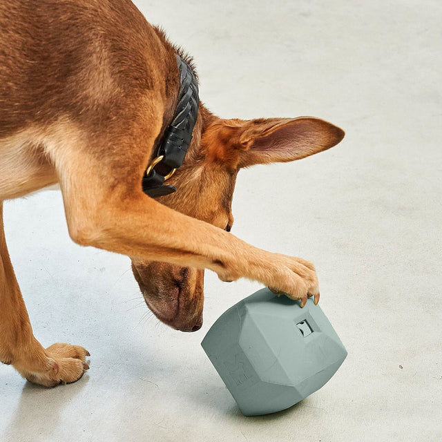 MiaCara Beschäftigungsspielzeug Dado, Himmel Interaktiv