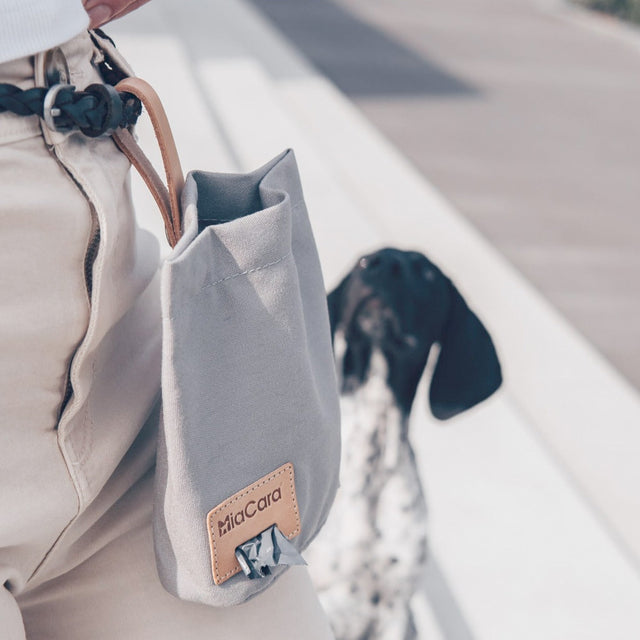 Leckerlibeutel Lupo, Beton