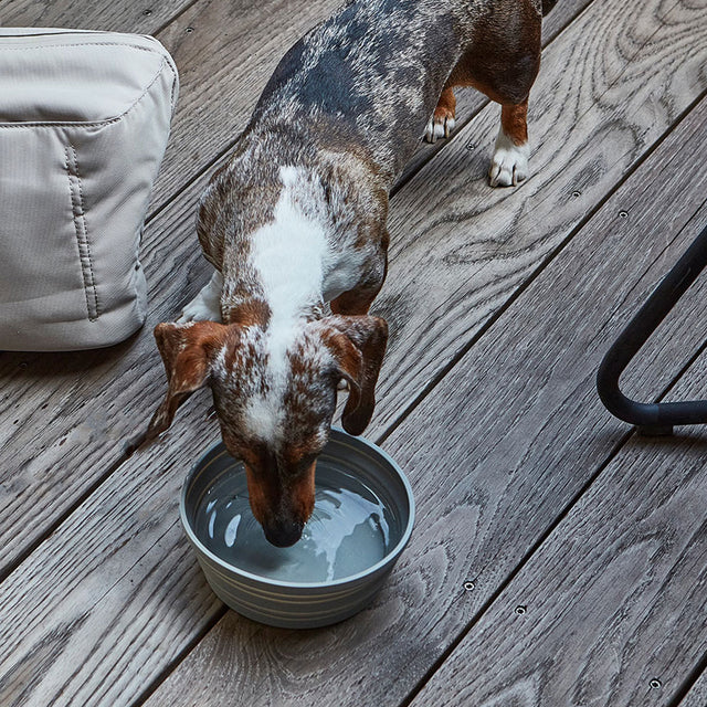 MiaCara Faltnapf Piega, Schiefer Reisenapf