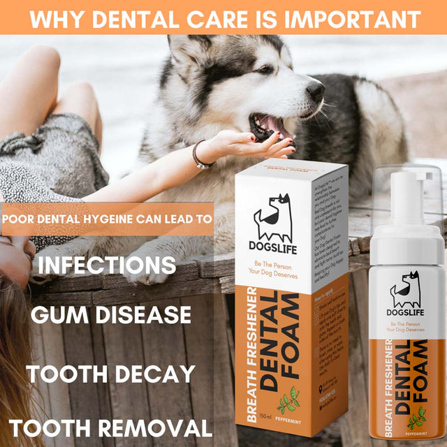 OurDogsLife Dental Foam, Zahnpflegeschaum Zahnpflege für Hunde