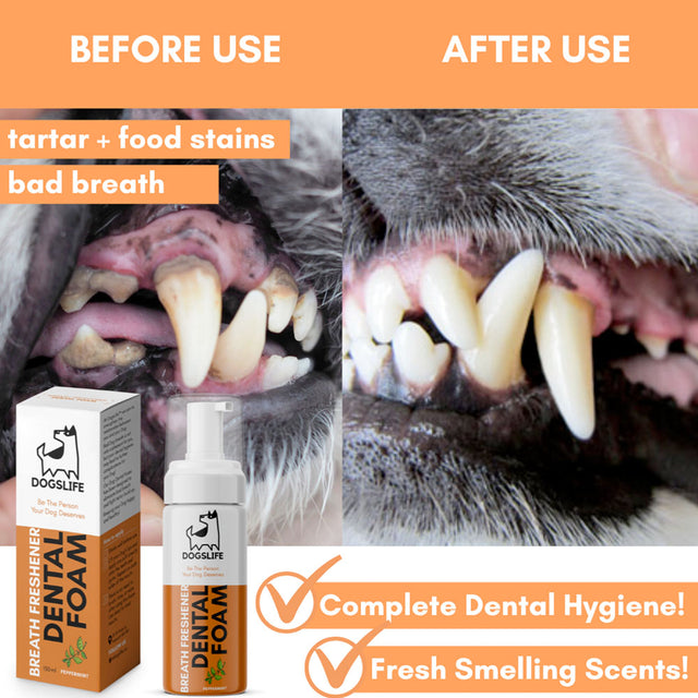 OurDogsLife Dental Foam, Zahnpflegeschaum Zahnpflege für Hunde