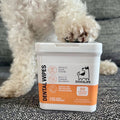 OurDogsLife Dental Wipes, Fingerlinge zur Zahnreinigung Zahnpflege für Hunde