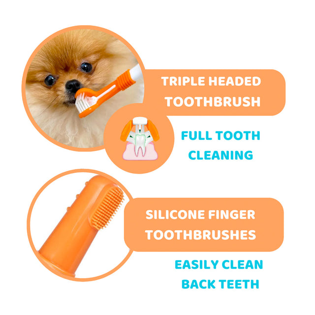 OurDogsLife Complete Dental Care Kit Zahnpflege für Hunde