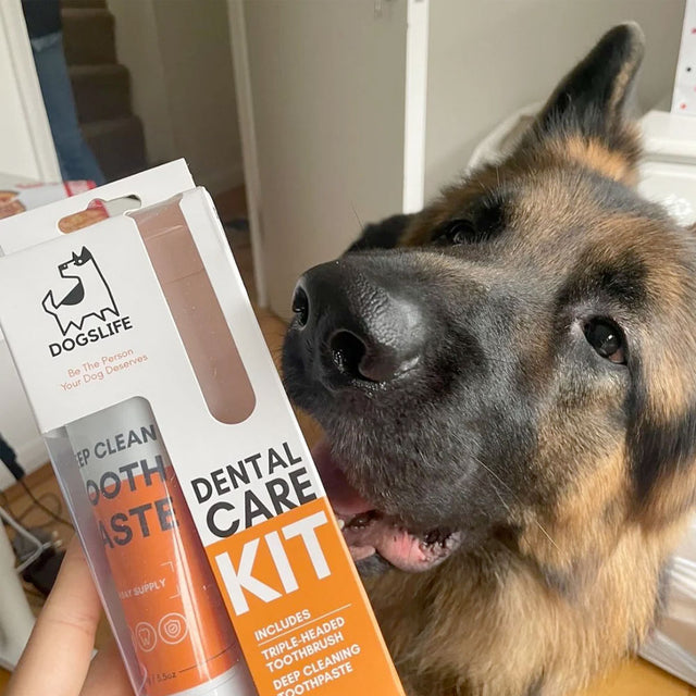 OurDogsLife Complete Dental Care Kit Zahnpflege für Hunde