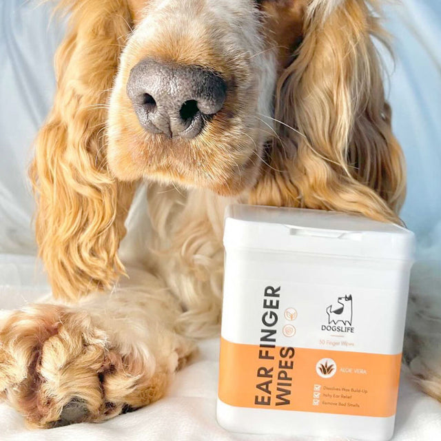 OurDogsLife Ear Wipes Aloe Vera, 50 Stück Ohrenpflege