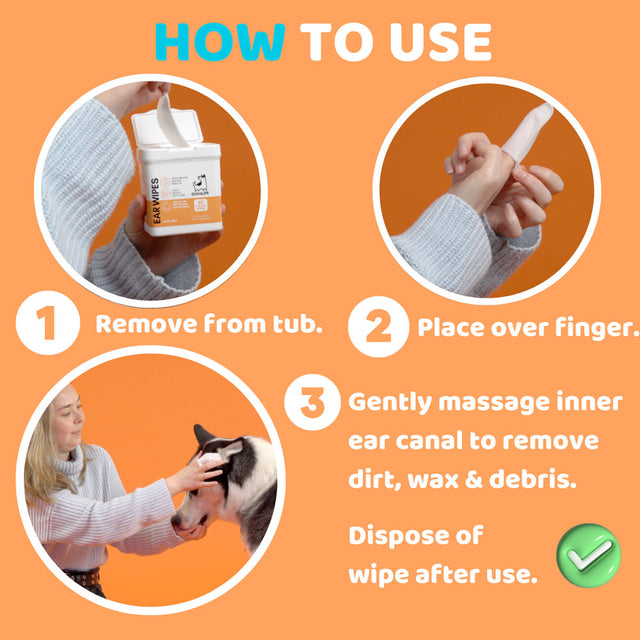 OurDogsLife Ear Wipes Aloe Vera, 50 Stück Ohrenpflege