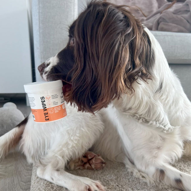 OurDogsLife Eye Wipes Aloe Vera, 100 Stück Pflege