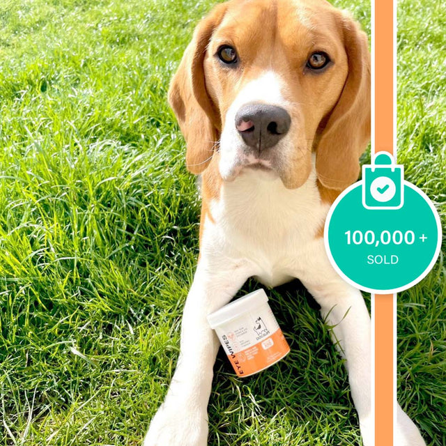 OurDogsLife Eye Wipes Aloe Vera, 100 Stück Pflege