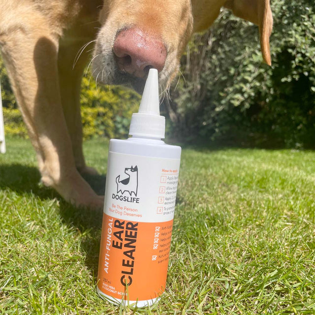 OurDogsLife Ear Cleaner, Ohrenreiniger für Hunde Ohrenpflege