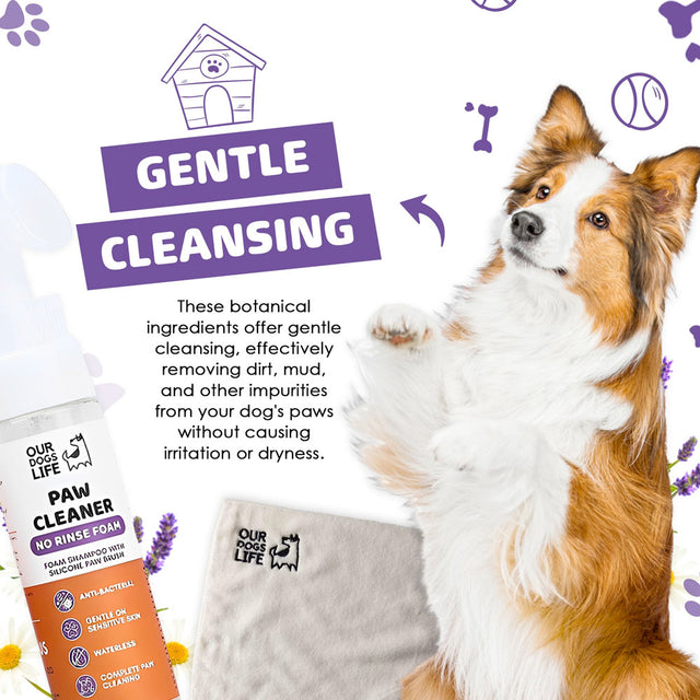 OurDogsLife Paw Cleaner Shampoo, Pfotenreiniger mit Bürste & Tuch Pfotenpflege