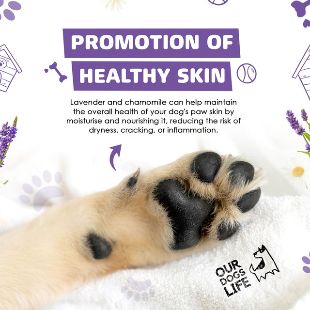 OurDogsLife Paw Cleaner Shampoo, Pfotenreiniger mit Bürste & Tuch Pfotenpflege