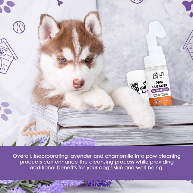 OurDogsLife Paw Cleaner Shampoo, Pfotenreiniger mit Bürste & Tuch Pfotenpflege