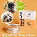 OurDogsLife Paw & Nose Balm, schützt Nase und Pfoten Pfotenpflege