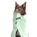 PAIKKA Hundedecke Recovery Blanket Hundedecke