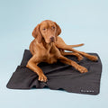 PAIKKA Hundedecke Recovery Blanket Hundedecke
