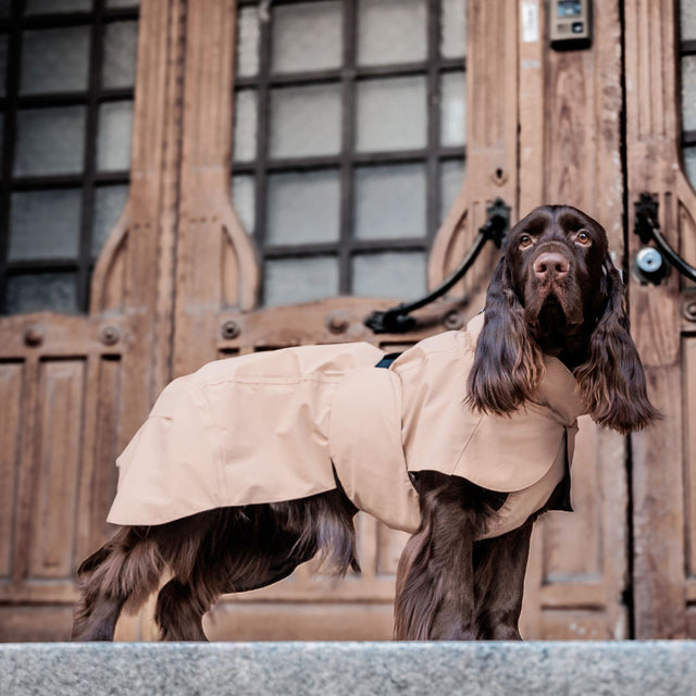 PAIKKA Visibility Hunderegenmantel, Lite Taupe Hunderegenmantel