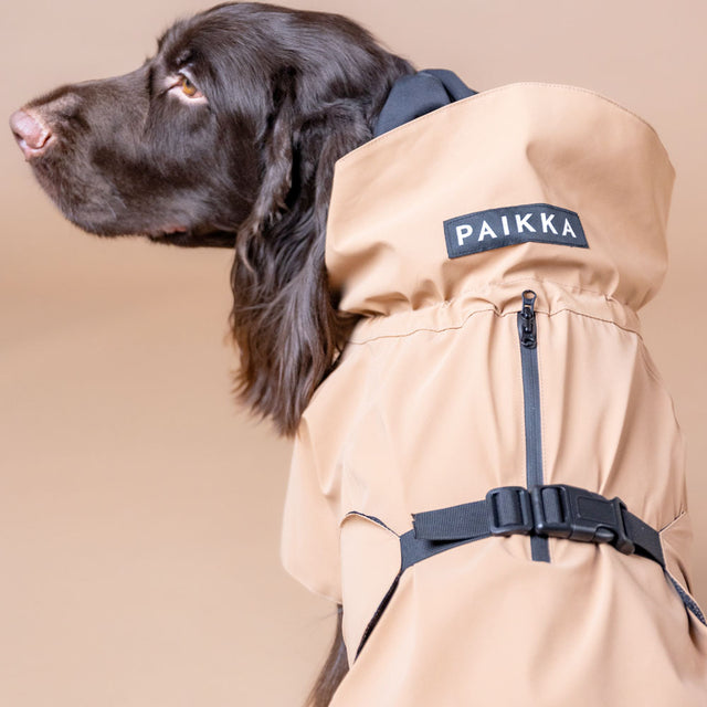 PAIKKA Visibility Hunderegenmantel, Lite Taupe Hunderegenmantel