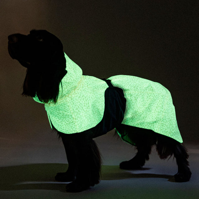 PAIKKA Reflektierender Hunderegenmantel 2.0, Pfirsich Hunderegenmantel