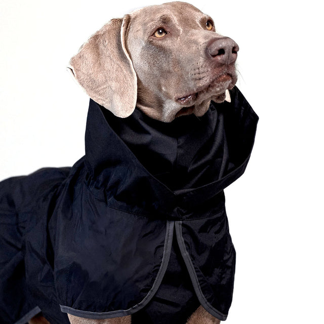 PAIKKA Hunderegenmantel Recovery, Lite Black Hunderegenmantel